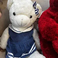 خرس در حد نو