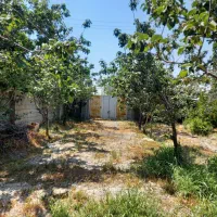 فروش یک قطعه زمین باغی ۶۷۰ متری بصورت اقساط