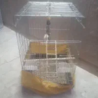 قفس بزگ طول 80 سانت