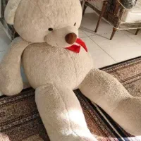خرس خارجی
