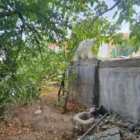 فروش زمین و باغ گیلاس|فروش زمین و ملک کلنگی|کن, |دیوار