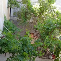 مشارکت در ساخت