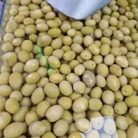 فروشنده شب کار زیتونسرا