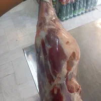 توزیع و پخش گوشت در مشهد|خوردنی و آشامیدنی|مشهد, فاطمیه|دیوار