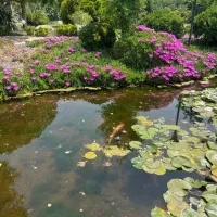 باغ تالار پذیرایی نامزدی عقد تولد مهمانی|خدمات پذیرایی، مراسم|قرچک, شهرک طلائیه|دیوار