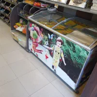 دوعددفریزر اسکوپی 12لگن درحد نو