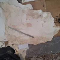 پوست آهو برای نوشتن حرز امام جواد دعا و آیات قرآنی|لوازم التحریر|کازرون, |دیوار