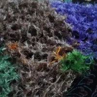 روپوش بافتنی زندان