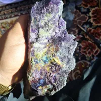 مشارکت