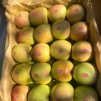 سیب لوکس ترگور|خوردنی و آشامیدنی|صومای برادوست, |دیوار