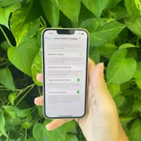 اپل iPhone 13 ، گوشی به این تمیزی ندیدی|موبایل|اصفهان, نصرآباد|دیوار