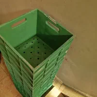 سبد جای شیر