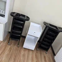 ترولی سالنی 2مدل