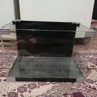 آکواریوم شیشه خم|ماهی|قرچک, مهدیه|دیوار