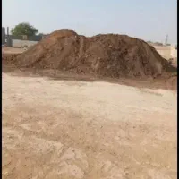 کود حیوانی گاو و گوسفند