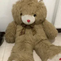 خرس بزرگ یک متری