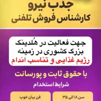 مشاور تلفنی