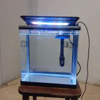 آکواریوم نقلی شرکتی چینی