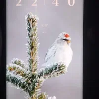 note 14 pro|موبایل|قهدریجان, |دیوار
