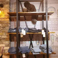 مانکن زنانه و رگال