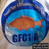 غذای ماهی