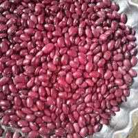 نیازمند۱۰نفرکارگر خانم یاآقا