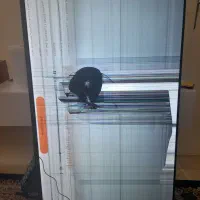 لوازم خانگی