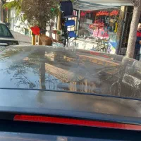 ام وی ام ۳۱۵|خودرو سواری و وانت|تبریز, |دیوار