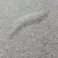 پالازموکت طوسی