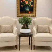 بن سای میخک هندی سایز بزرگ
