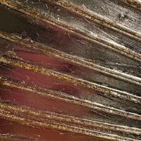 تابلو مدرن|تابلو، نقاشی، عکس|تهران, زرکش|دیوار