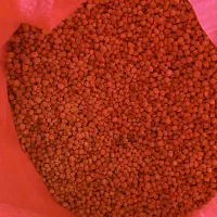 نخود خام زودپز|خوردنی و آشامیدنی|تربتحیدریه, پایانه مسافربری تربت حیدریه|دیوار