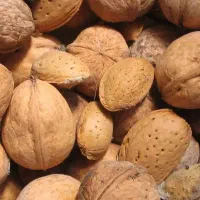 محصولات خانگی|خوردنی و آشامیدنی|نسیم‌شهر, |دیوار