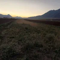 500متر-زمین-بهر-کمربندی-توره