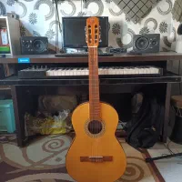 گیتار دالاهو