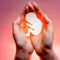 نیازمند متقاضی خانم برای تخمک اهدایی و رحم جایگزین