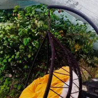 خونه نوساز بدون شناژ ۱۸۰متری محله امید|فروش خانه و ویلا|بندر گناوه, |دیوار