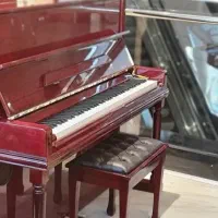 گیرایی و نقش زیبای پیانو آکوستیک ماندگار در دل