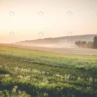 زمین در کوی دانشگاه پیام نور