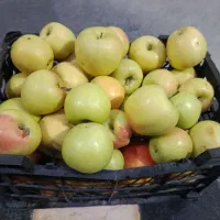 سیب تازه