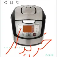 پلوپز گاسونیک