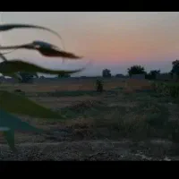 فروش زمین ۳۰۰ متری|فروش زمین و ملک کلنگی|شوشتر, |دیوار