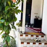 ویلا فلت ۱۲۰ متری