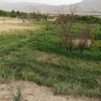 باغ برای ساخت ویلا
