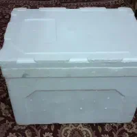 کائوچو برا ماهی