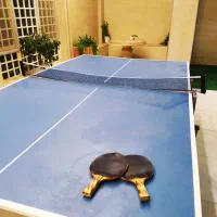 میز پینگ پنگ