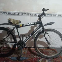 دوچرخه 26