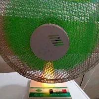 پنکه رومیزی|پنکه و تصفیه‌کنندهٔ هوا|بندرعباس, |دیوار