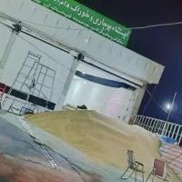 بذر باقله|خدمات باغبانی و درختکاری|دره شهر, |دیوار