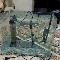 اکواریوم خم شرکتی